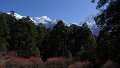 DSC08317