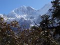 DSC08322