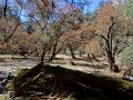 DSC08339
