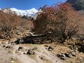 DSC08340