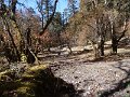 DSC08343