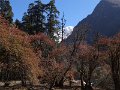 DSC08344