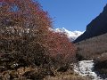 DSC08349
