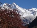 DSC08350
