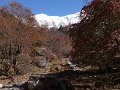 DSC08352