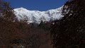 DSC08353