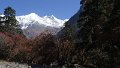 DSC08357