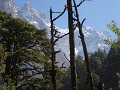 DSC08358