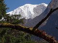 DSC08367