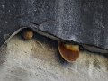 DSC08380